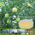 Fruit powder apple powder extract